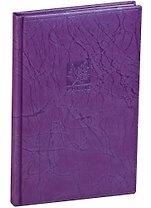 Алфавитная книга А5 80 листов "SCRIBBLE" фиолетовая