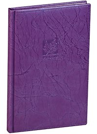 Алфавитная книга А5 80 листов "SCRIBBLE" фиолетовая
