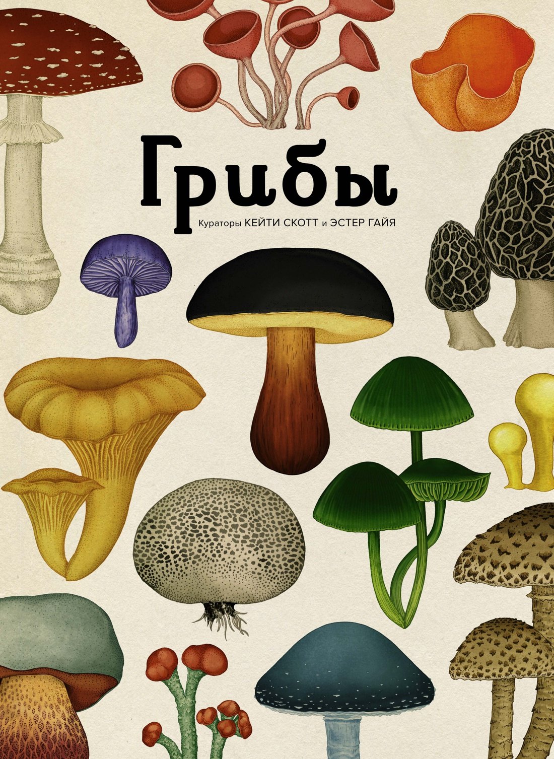 

Грибы