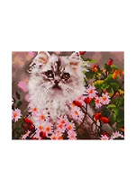 Алмазная мозаика ТМ Рыжий Кот 22х32см с подрамником с полным заполнением (класс.) ,27цв. ПУШИСТЫЙ КОТИК В ЦВЕТАХ. Арт. AC22063