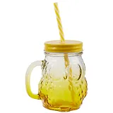 Баночка с ручкой и крышкой для коктейлей в форме совы градиент (стекло) (450мл)