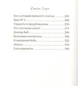 Мир глазами уличного кота Боба. Боуэн Дж. - 2