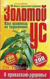 Золотой ус - ваш целитель на подоконнике