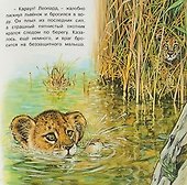 Приключения львёнка - 2