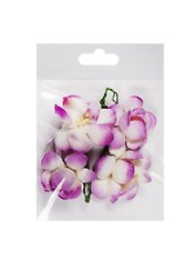 Цветы сакуры бело-фиолетовые (SCB291203) (d=3,5см) (набор/4шт.) (ScrapBerrys) (упаковка)