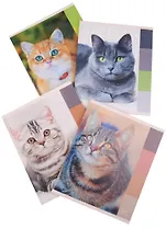 Тетрадь в клетку Unnika, "Кошачьи взгляды", 48 листов, в ассортименте