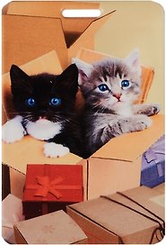 Чехол для карточек Котята в коробке