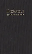 Библия (1178)043DC TI с коммен.(чер.)