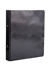 Папка 2кольца А4 "Glitter", черная