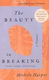 The Beauty in Breaking