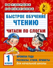 Быстрое обучение чтению. Читаем по слогам. Времена года. 1 класс