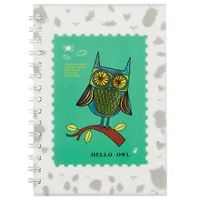 Тетрадь общая «Hello Owl», 80 листов в клетку, А5, в ассортименте - Hai Bin