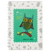 Тетрадь в клетку Hai Bin, Hello owl, 80 листов, в ассортименте