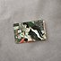 Наклейка матовая на банковскую карту "Шагал" - 1