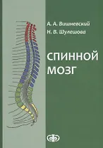 Спинной мозг: клинические и патофизиологические сопоставления. ил