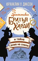 Братья Харди и тайна дома на скале