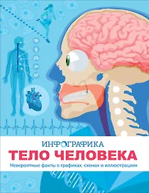 Тело человека. Инфографика