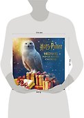 Harry Potter: Hedwig Pop-up Advent Calendar (Reinhart  Matthew) Гарри Поттер  Хедвиг Pop-up адвент календарь/ Книги на английском языке - 1