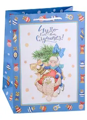 Пакет А4 32*26*12,7 "На встречу Новому Году!" Новый год, бум.мат.