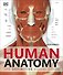 Human Anatomy - 0