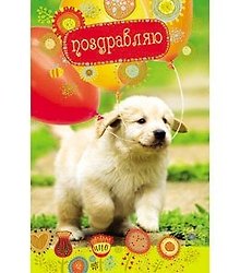 Открытка А5 Поздравляю! 5-10-0332