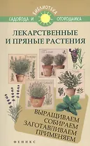 Лекарственные и пряные растения:выращиваем