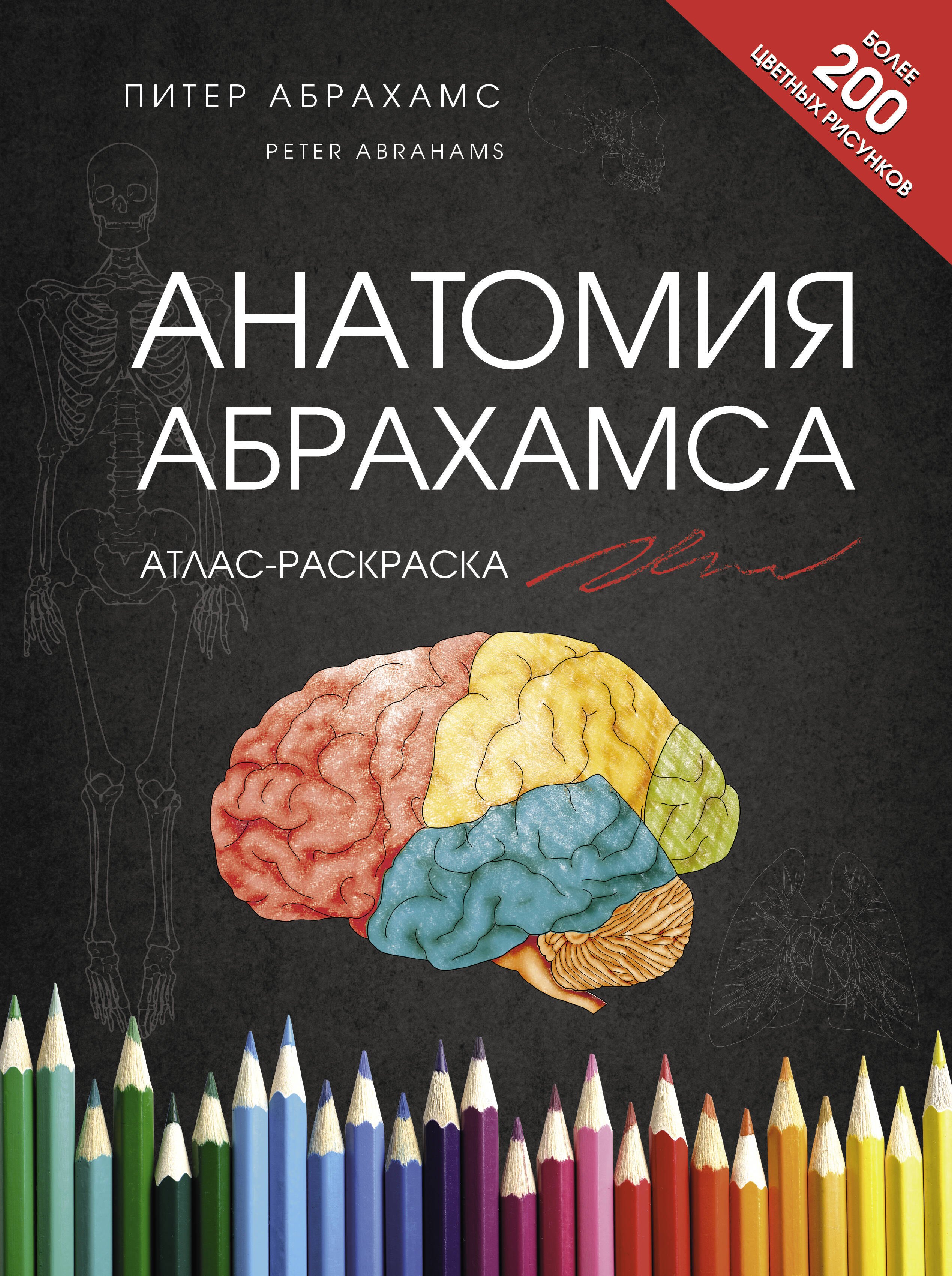 

Анатомия Абрахамса. Атлас-раскраска
