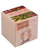 Набор для опытов и экспериментов, Набор для выращивания, Экокуб Виноград Девичий