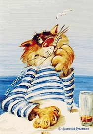 Блокнот «Кот-мореман»