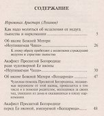 Как помочь страдающим от недуга пьянства и наркомании. Духовные советы и молитвы для матерей, жен и детей - 1