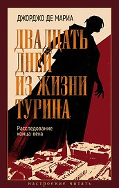 Двадцать дней из жизни Турина: Расследование конца века