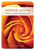 Поймай любовь. Советы от профессиональной свахи - 0