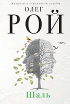 Шаль: роман