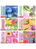 Обучающие книги набор «Про все на свете» (комплект из 6-ти книг) - 0