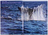 Охотское море. Географическая энциклопедия - 2