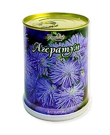 Цветок в банке "Агератум" (77022)