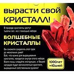 Набор д/детского творчества Кими "Вырасти свой кристал!" в асс. 006