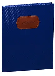 Дневник школьный GoodMark, Blue Shine