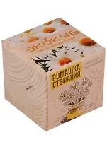 Набор для опытов  и экспериментов Набор для выращивания Экокуб Ромашка Стефания