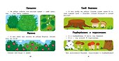 Лес: энциклопедия для малышей в картинках - 2