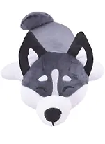 Хаски "Сплюша" лежачая