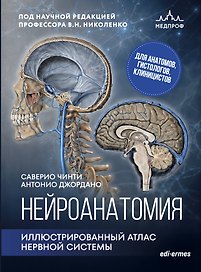 Нейроанатомия. Иллюстрированный атлас нервной системы