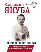 Принцип куба. Революция в бизнес-мышлении - 0