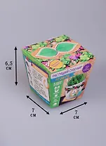 Сувенир растущая травка На удачу (7х5) (1668154)