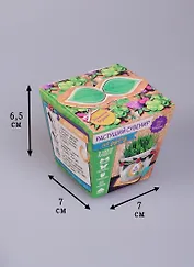 Сувенир растущая травка На удачу (7х5) (1668154)