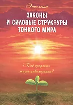 Законы и силовые структуры Тонкого мира