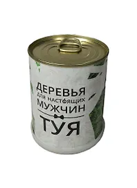 Подарочный набор для выращивания Деревья для настоящих мужчин Туя (410831)