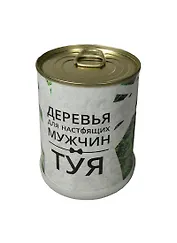 Подарочный набор для выращивания Деревья для настоящих мужчин Туя (410831)