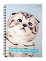 Тетрадь в клетку Listoff, "Характер котика", А4, 80 листов