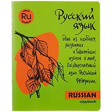 Тетрадь предметная «Яркая учёба. Русский язык» 48 листов в линейку, со справочными материалами - Феникс+